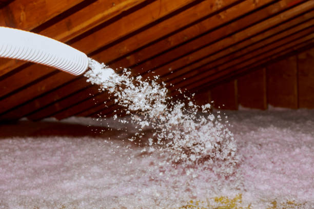 Best Insulation Repair Services  in USA